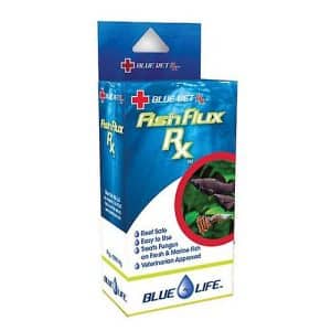 Blue Life Fish Flux RX