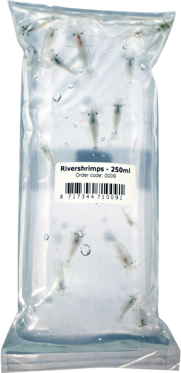 River Shrimps 250ml