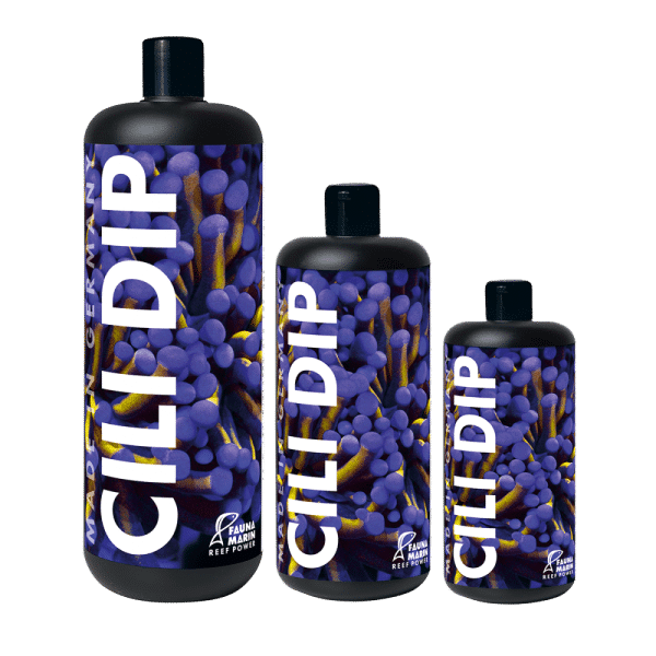 Fauna Marin Cili Dip