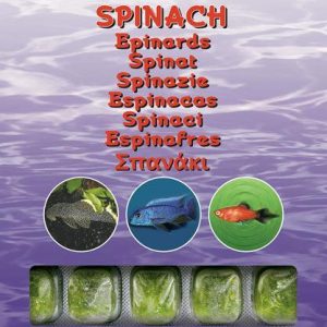 Ocean Nutrition Frozen Spinach 100g Cube