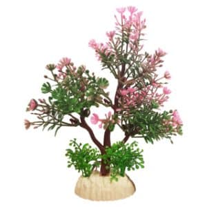 Betta Choice 5" Pink Tree
