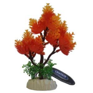 Betta Choice 5" Orange Tree